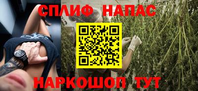 не бодяженный Гатчина