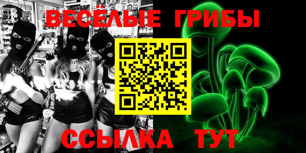 Псилоцибиновые грибы Psilocybe Городец